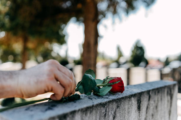 Sick of informal days? Try the most effective dating apps for serious relationships in 2024